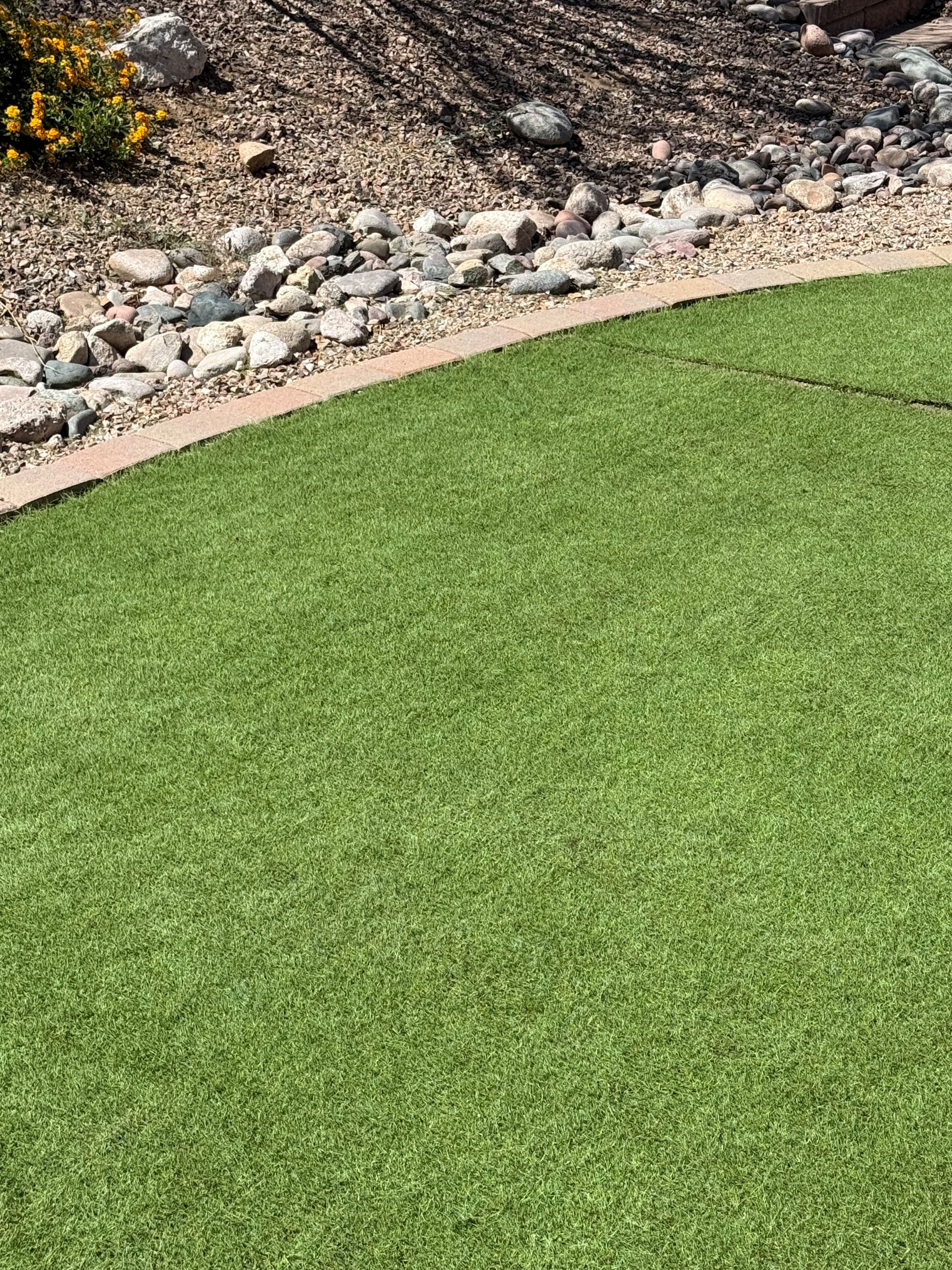 Artificial turf after Turf Minders cleaning — clean and groomed