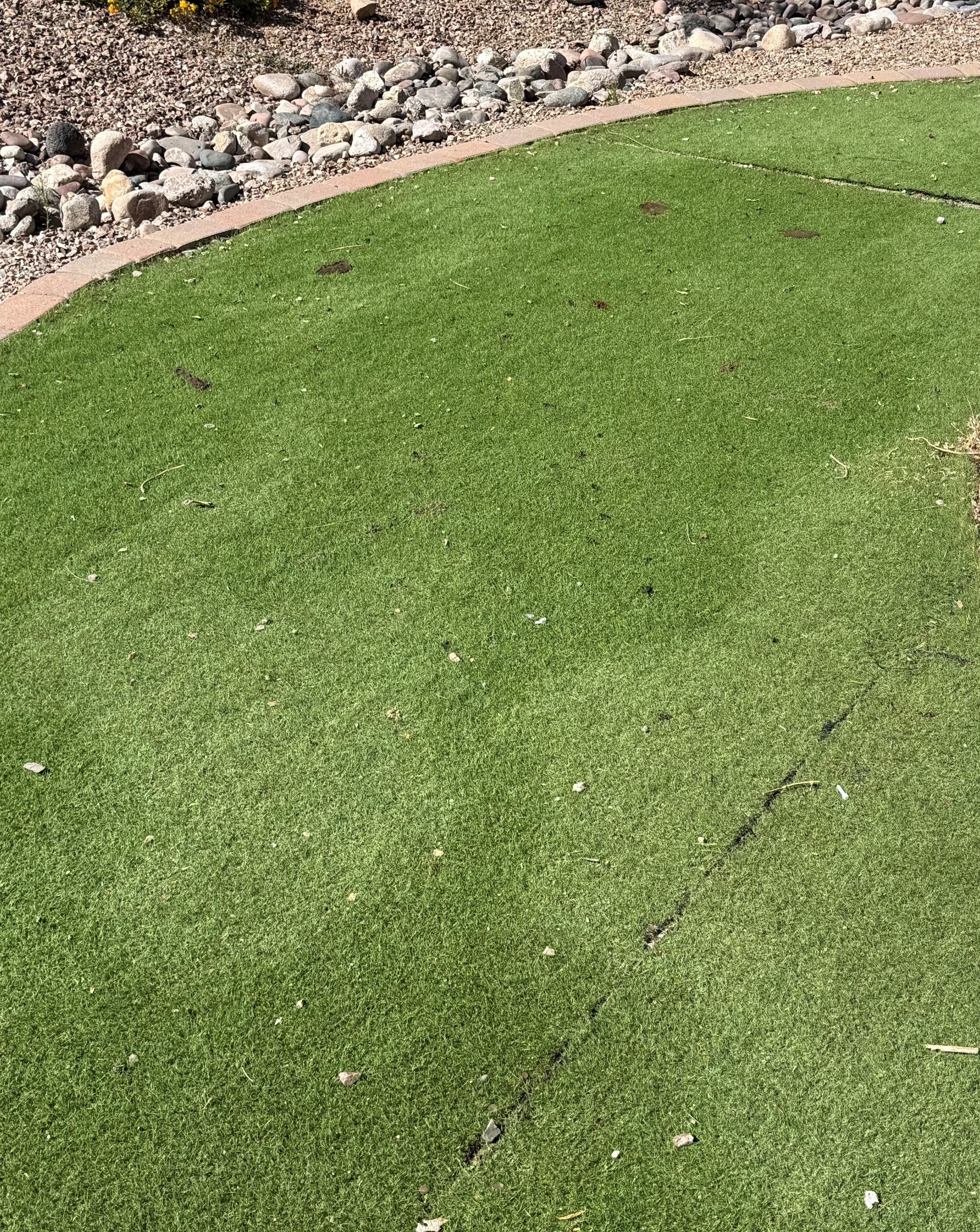 Artificial turf before Turf Minders cleaning — matted and dirty