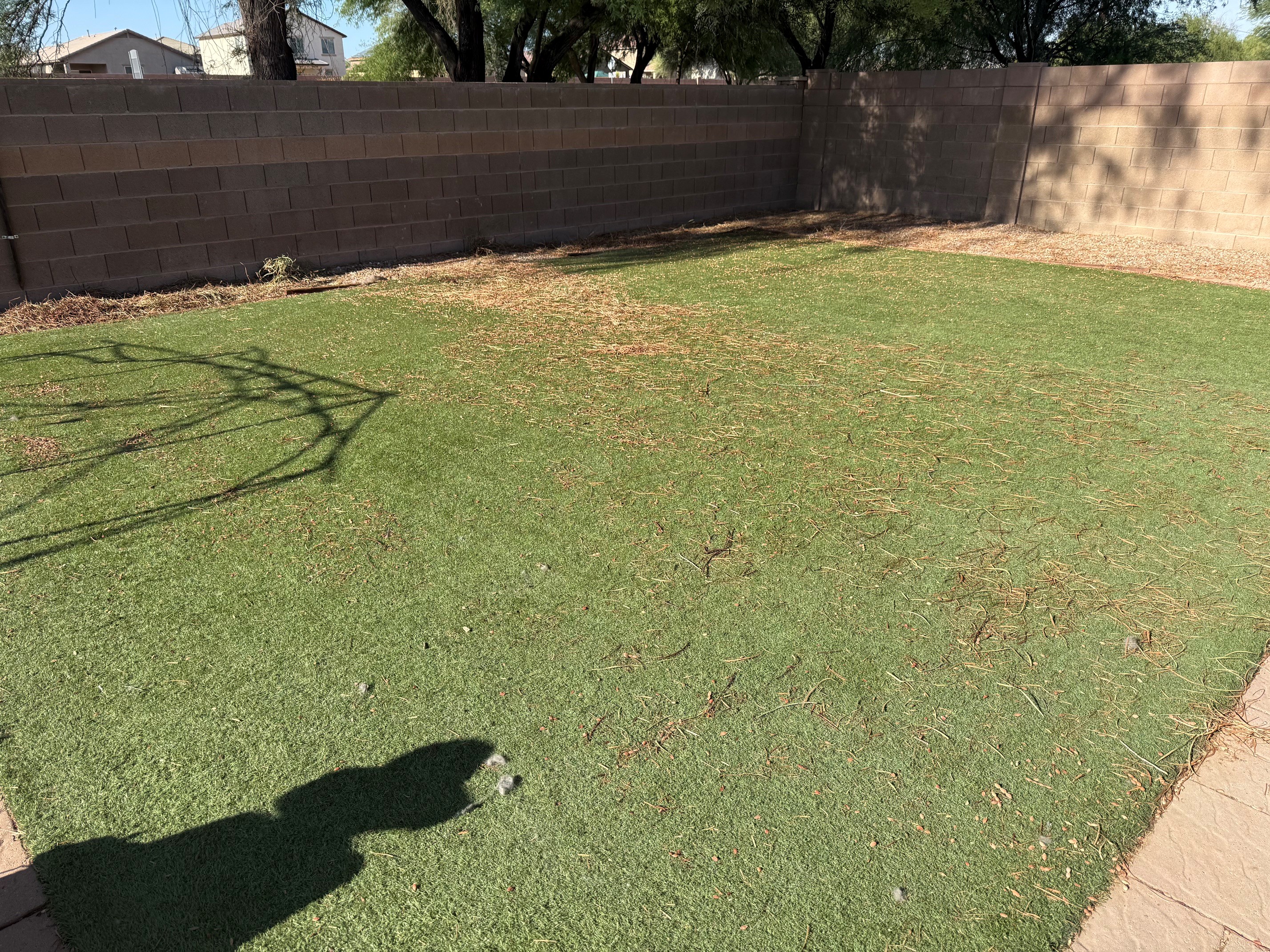 Artificial turf before Turf Minders cleaning