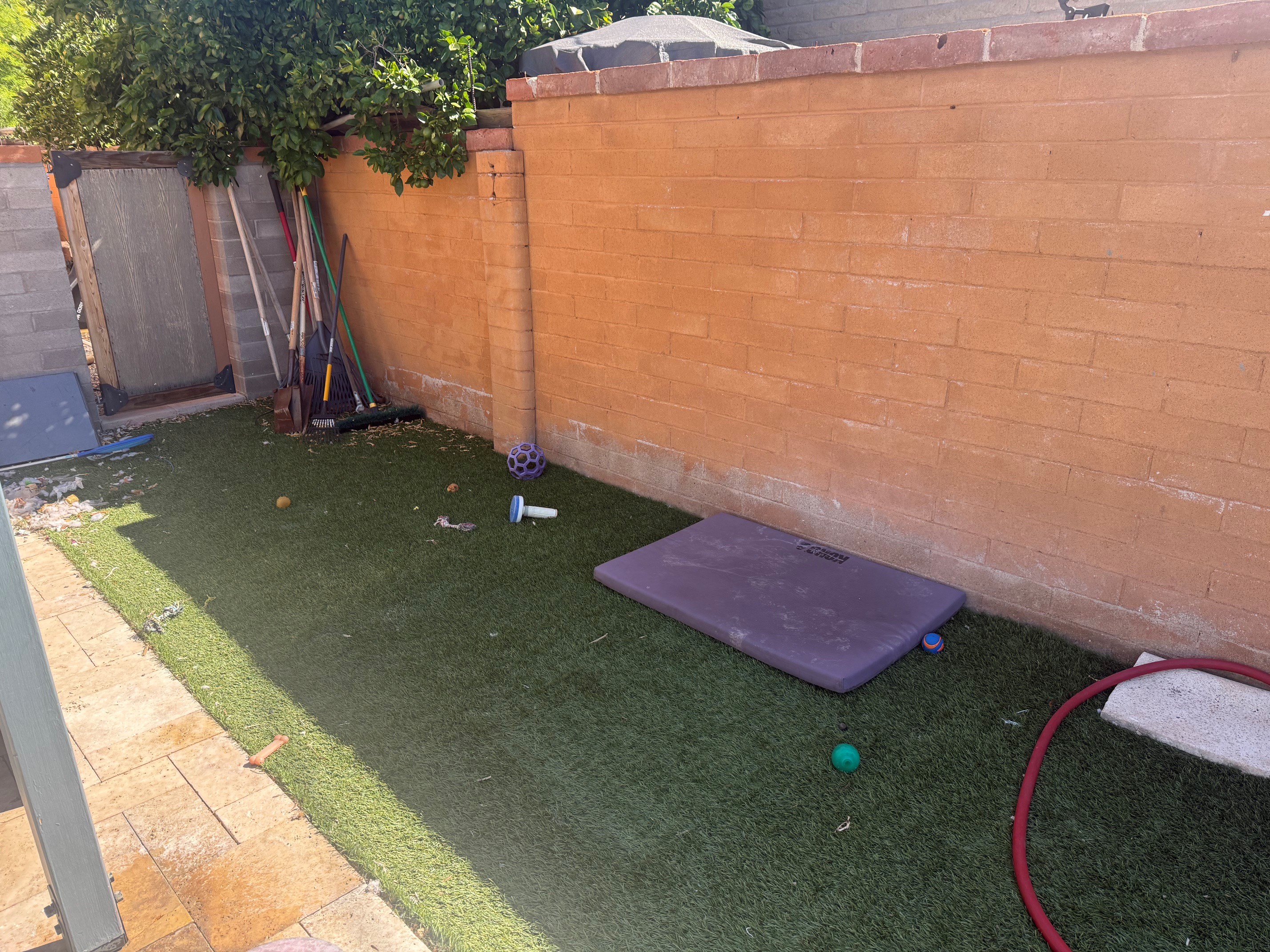 Artificial turf before Turf Minders cleaning